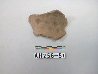 藏品(紅色粗砂陶片)的圖片